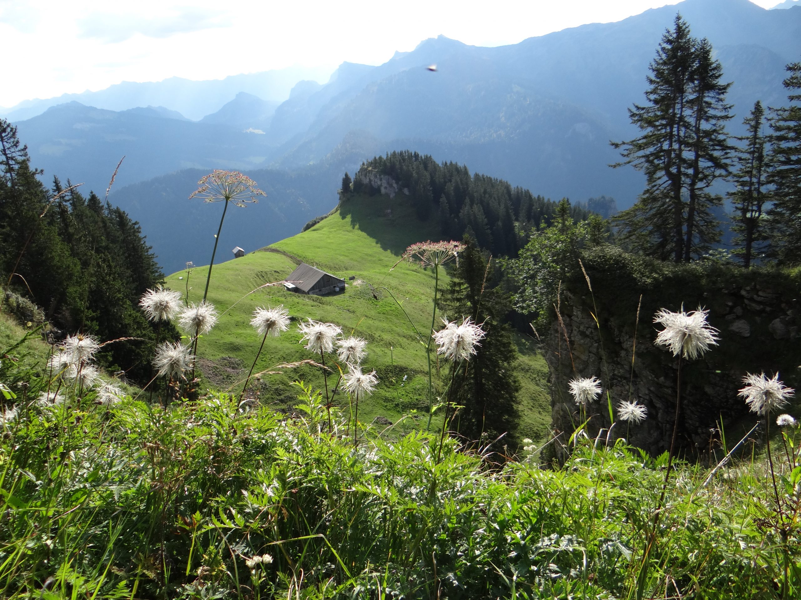 Reife Französin Wird Im Wald Von Zwei Männern Ausgenutzt Reife Französin Wird Im Wald Von Zwei Männern Ausgenutzt